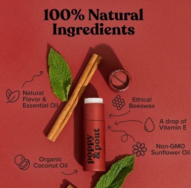 Cinnamint Lip Balm
